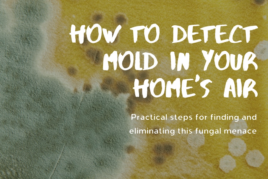 How to detect mold in the air