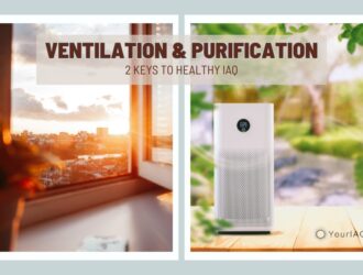 Ventilation Purification