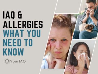 Indoor Air Quality and Allergies