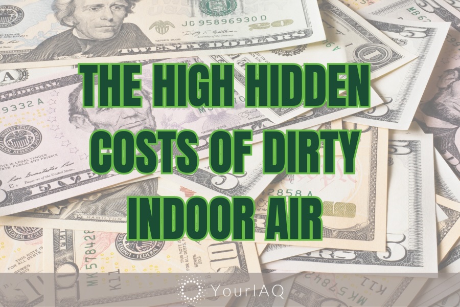 The Costs of Indoor Air Pollution