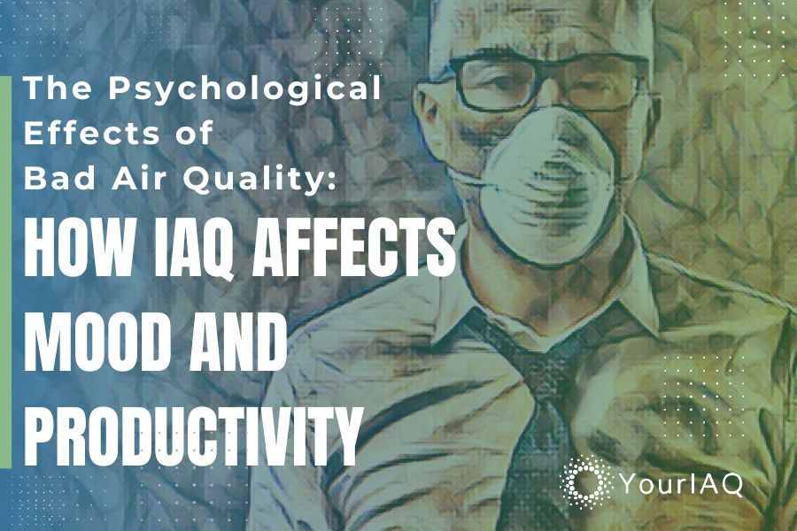 What are the effects of bad air quality