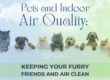 air quality for pets