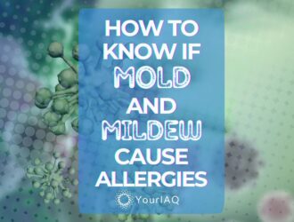 Mold mildew allergy symptoms