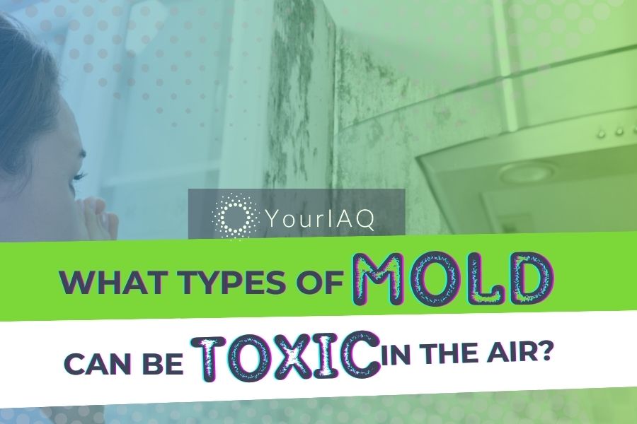 what types of mold are toxic